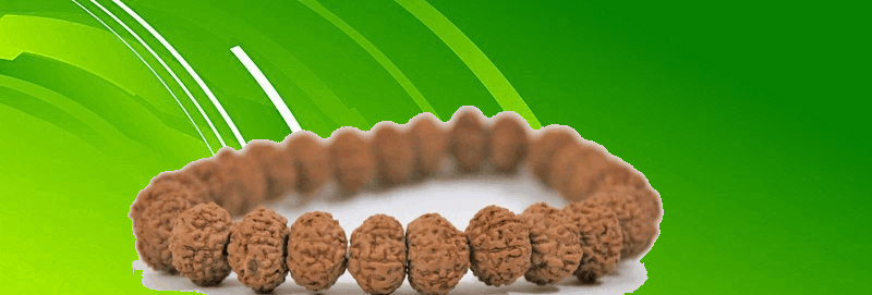 All about the importance of rudraksha